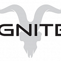 ОЭСДН IGNITE ОЭСДН IGNITE